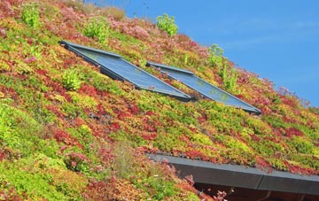 Woodlands St Mary living roof systems