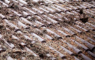 Woodlands St Mary roof cleaning companies